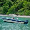 Sport Fishing - Image 10