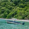 Sport Fishing - Image 9