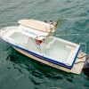 Sport Fishing - Image 3