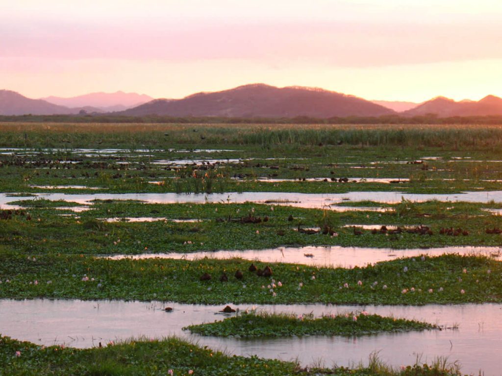 How to visit Palo Verde National Park Costa Rica